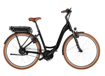 Riese & Müller Swing4  vario