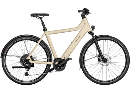 Riese & M&uuml;ller Culture Touring 400Wh