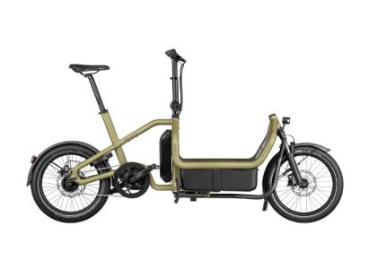 Riese & M&uuml;ller Carrie city 545Wh