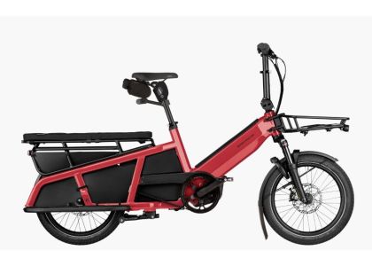 Riese & M&uuml;ller Multitinker2 vario 625Wh